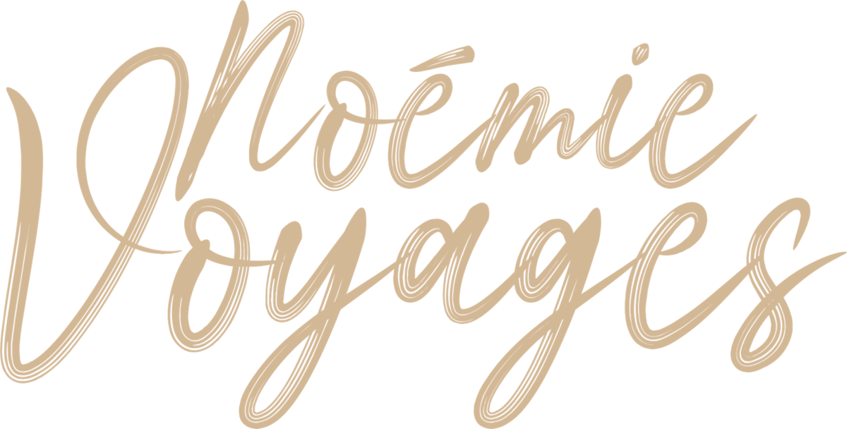 IMG_9334.PNG