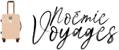 Noemie-Voyages-Logo-Valise.png
