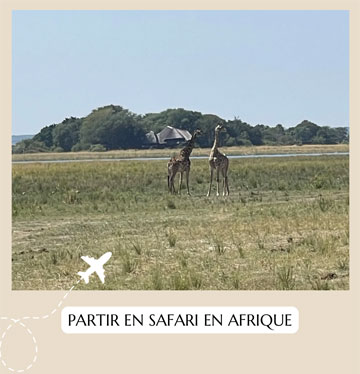 Noemie-Voyages-Afrique-01.jpg